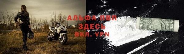прущие крисы Кирсанов