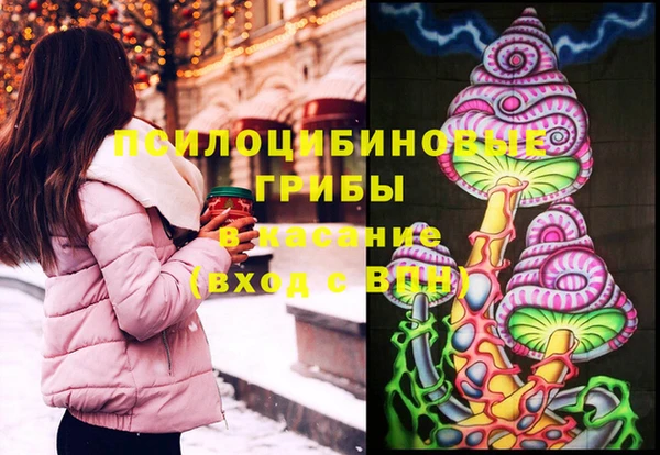 герыч Лагань