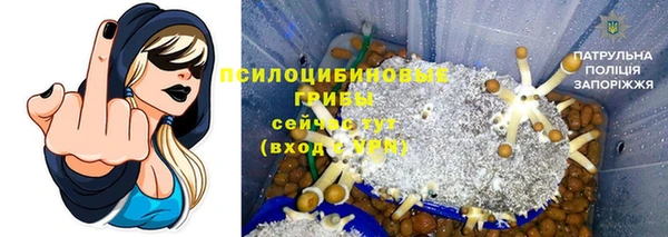 герыч Лагань