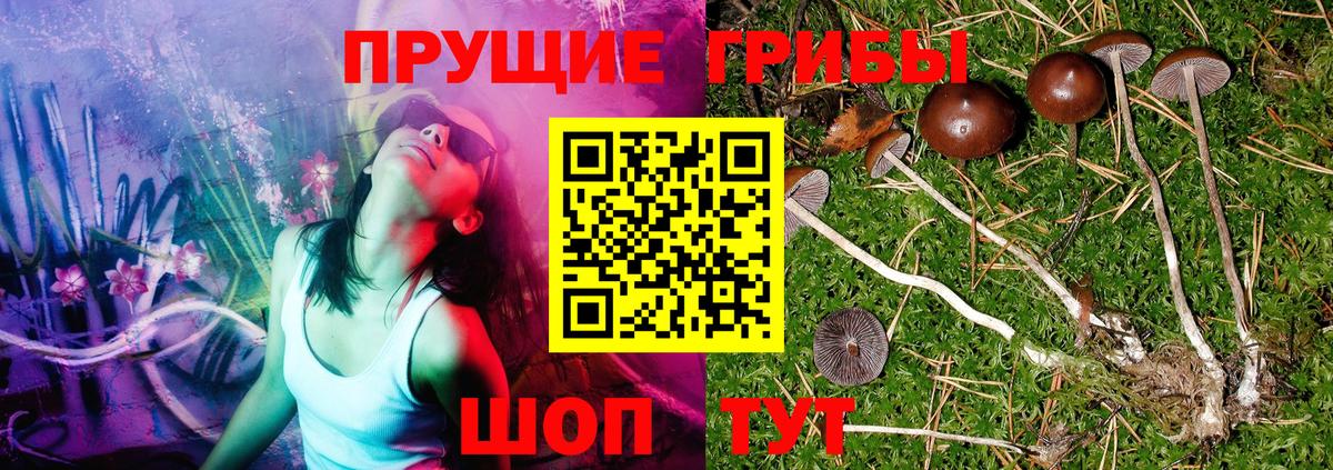 Галлюциногенные грибы мухоморы  Вход с VPN  Моршанск  Галлюциногенные грибы Magic Shrooms 