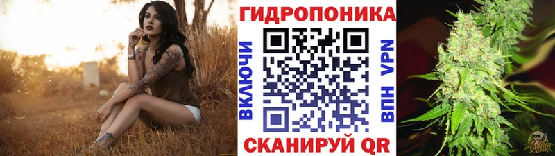 Канабис THC 21%  Моршанск 